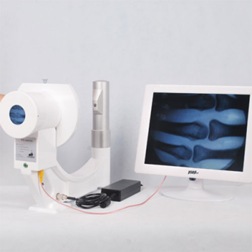Wholesale Plug and Use X-ray Imaging Machine Manufacturer